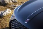 DS 3 Crossback La Premiere 2019 года (WW)